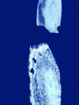 Blaumetall – Bildungszentrum Sprockhoevel