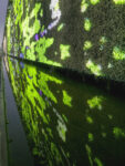 Flow – Videoprojektionen auf eine Gradierwand – Lichtsicht Projektionsbiennale Bad Rothenfelde 2007-2008